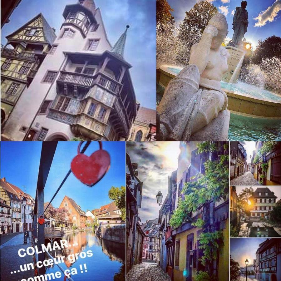 Le 1 " Gites Tout Confort A Colmar Centre" Kültér fotó